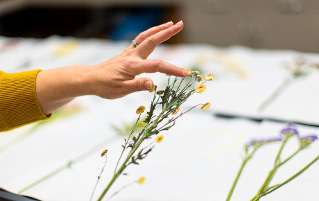 Brown preserves a collection of the Dec. 13 memorial flowers