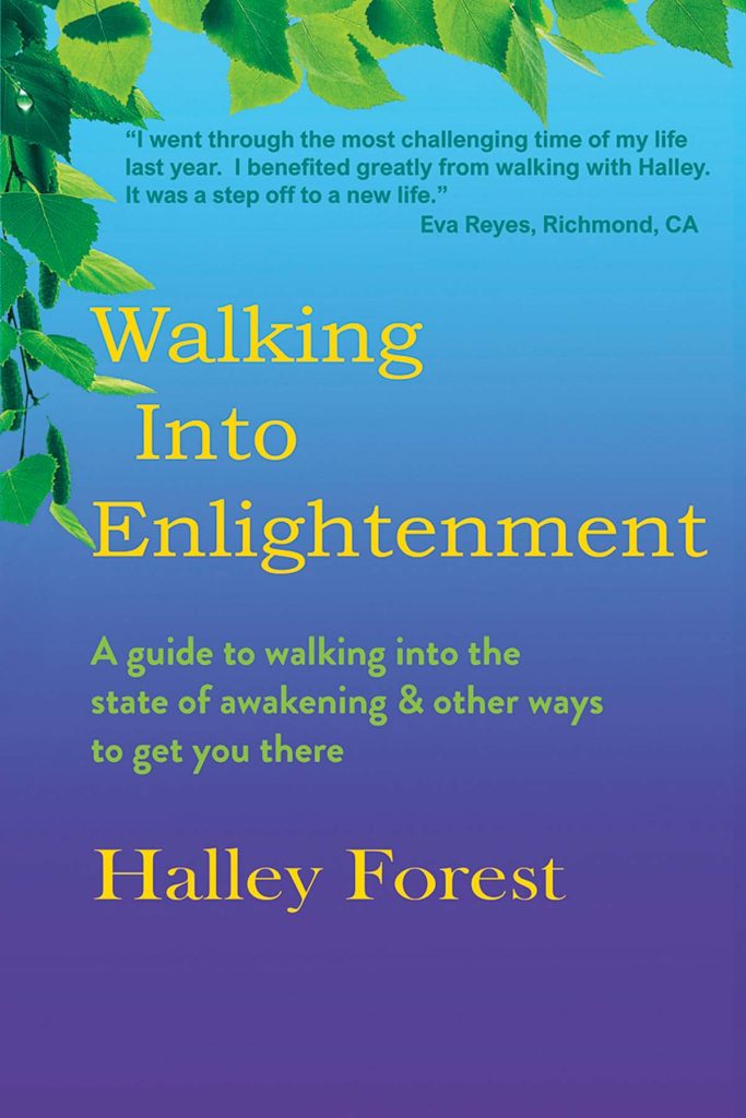 Walking Into Enlightenment book cover