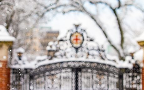 photo of the Van Wickle gates in light snow