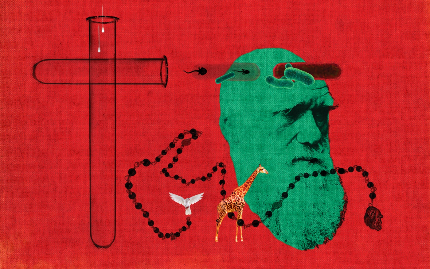 illustration of Darwin