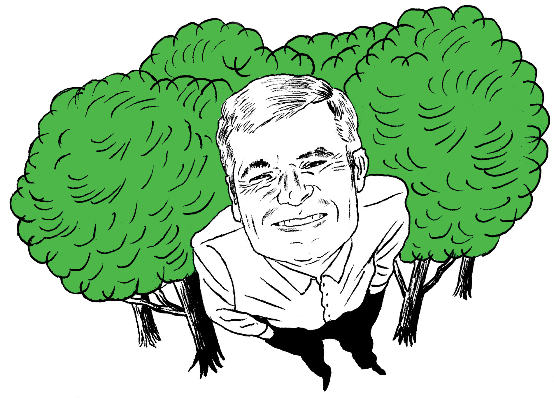 Illustration of John Daley of American Forests by Meg Moore