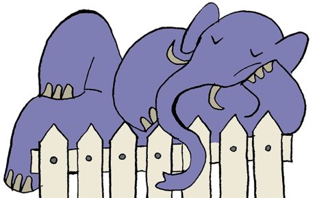 Illustration by S. Federico of an elephant laying on top of a fence.
