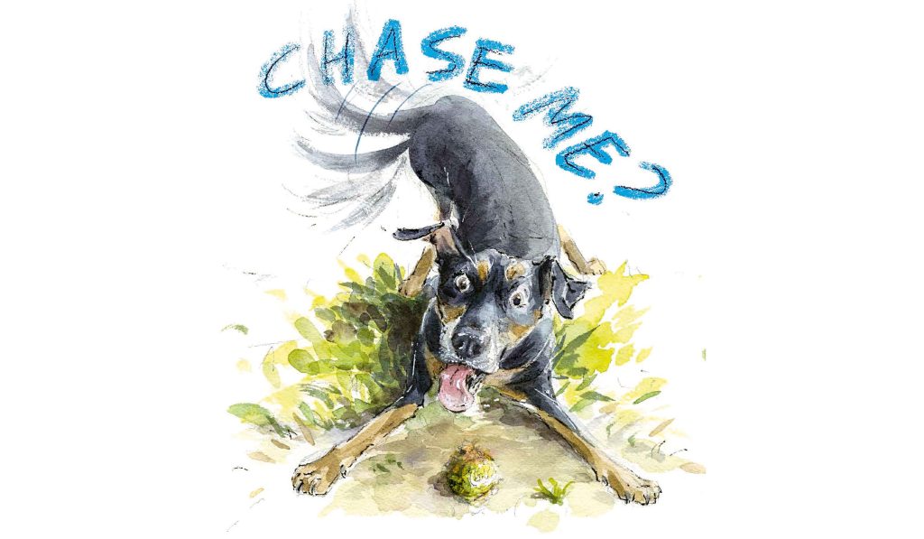An illustration from the book 