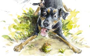 An illustration from the book 