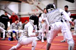 fencing.jpg