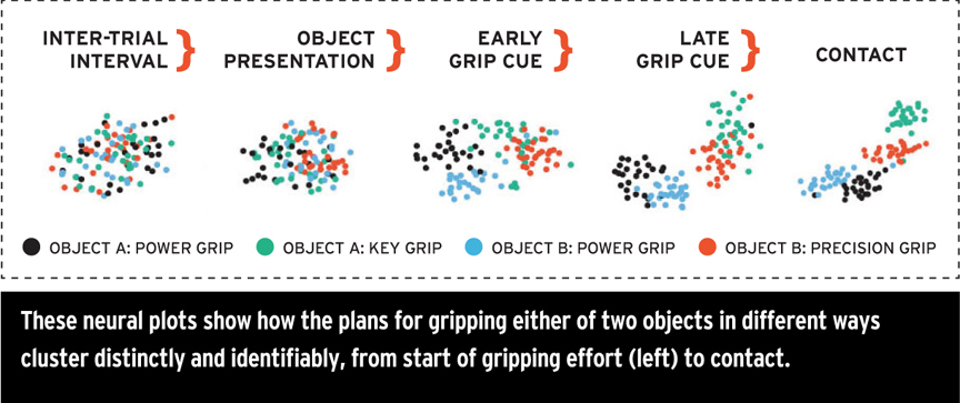 grip.jpg